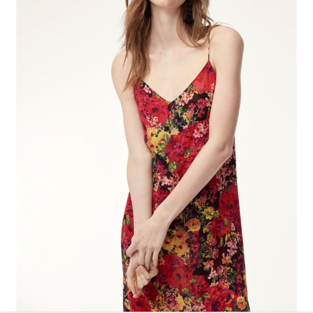 Aritzia Slip Dress by Little Moon